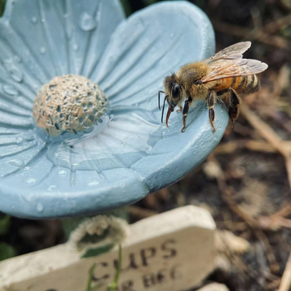 Flower-Shaped Ceramic Bee Watering Station (Random Color)